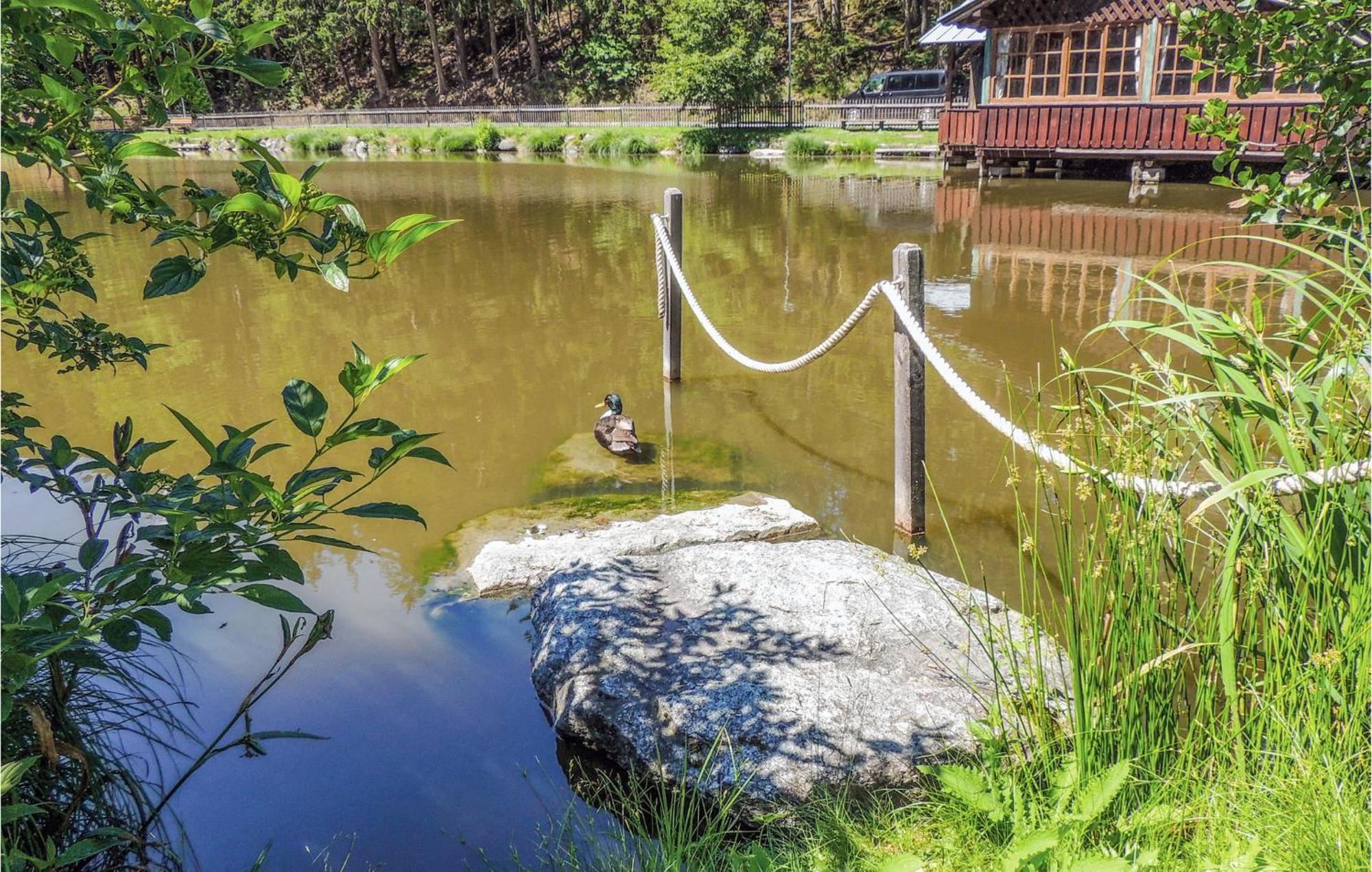 Ferienwohnung Mit Seeblick アルトランス エクステリア 写真